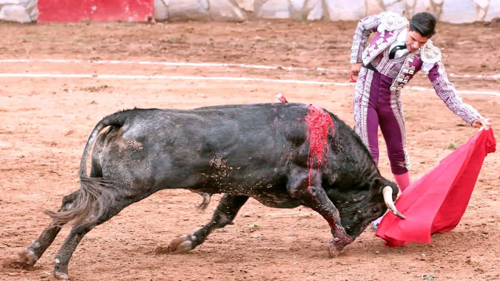 matador de toros